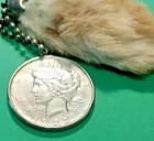 1923  U.S. Peace Silver Dollar in Reno / Biggest Little City Keychain