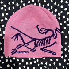 Arc teryx Bird Word Toque Beanie Pink Arctic Silk Unisex Winter Hat NWT Warm PRO