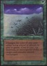 1x Lifelace Light Play, English Collectors' Edition - International MTG Magic