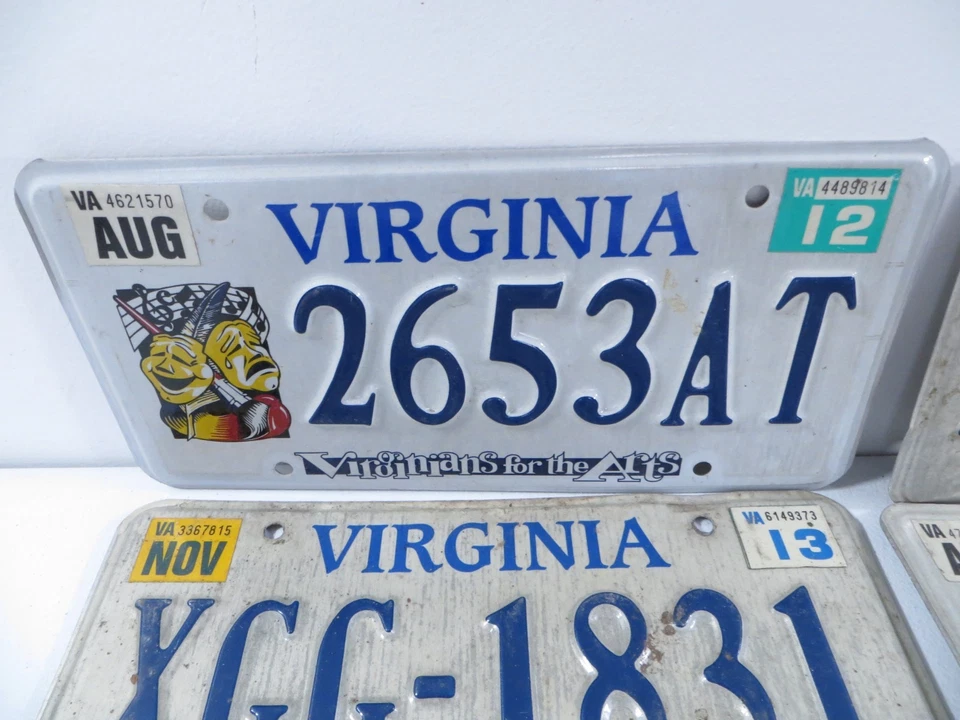 Лот из 13 пар персонализированных одиночных номерных знаков Virginia - Изображение 2 из 4