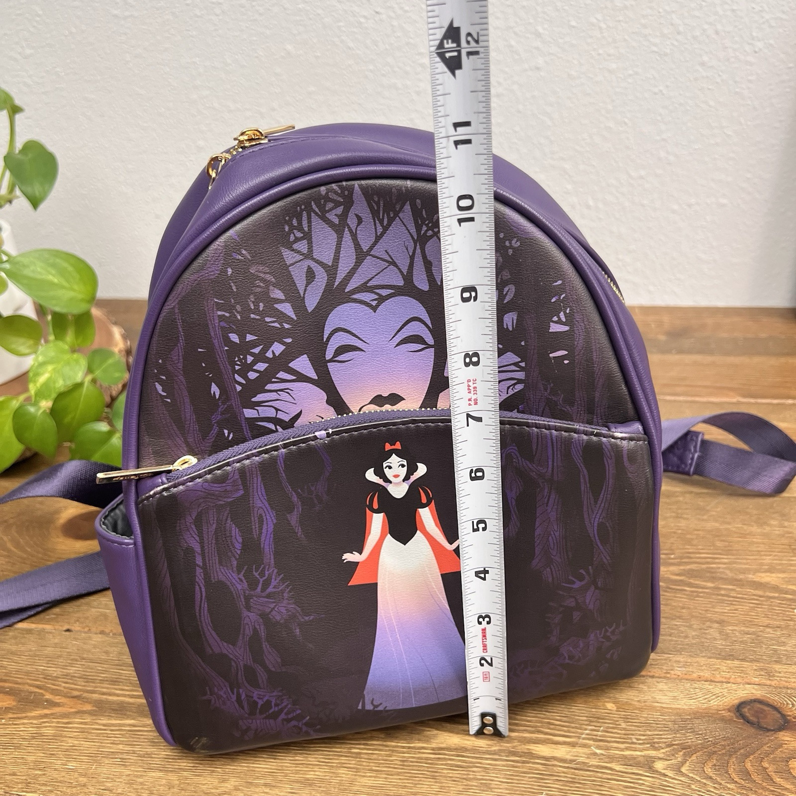 Disney VILLAINS DANIELLE NICOLE Snow White Evil Q… - image 7