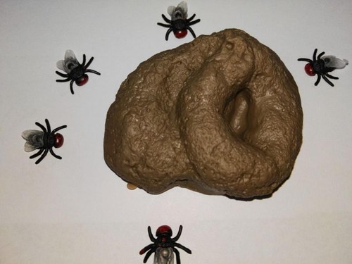 Fake Pooper Bathroom Prank Crap Turd Human Dog Poop Funny Joke Toilet Poo B - Picture 5 of 6