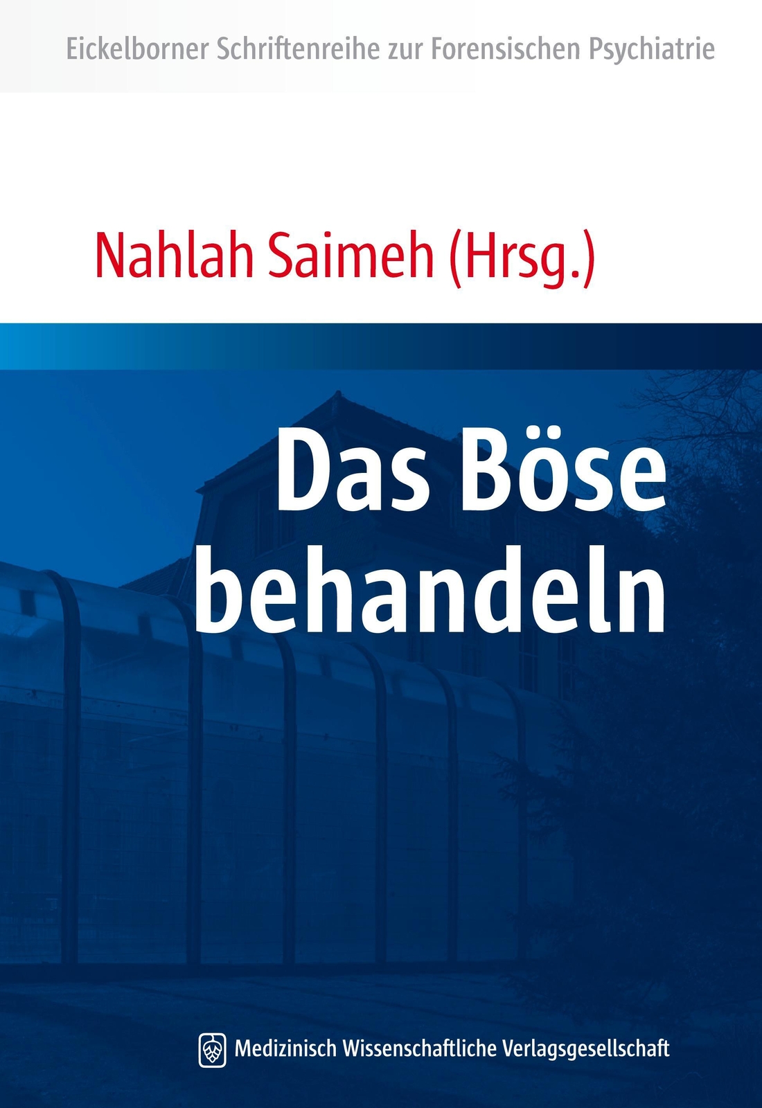 Thumbnail - Das Böse Behandeln Nahlah Saimeh Taschenbuch 238 S. Deutsch 2013