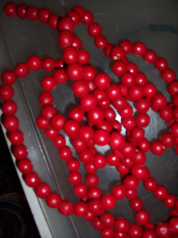 Bead Christmas Garland, 9 Ft, Wood red  Holiday wood garland