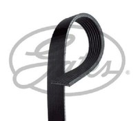 Original Gates Keilrippenriemen 7PK1785 FüR Honda Renault