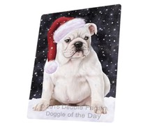 Let it Snow Christmas Holiday Bulldog Dog Woven Throw Sherpa Blanket T382