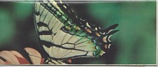 Vintage Nikon Close-Up System Brochure