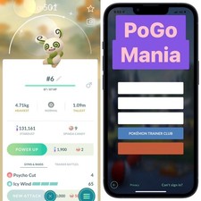Shiny Spinda  Pattern 6  mini PTC 20k  read description 