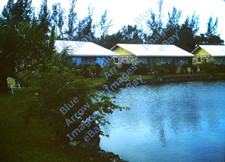 1966 35mm Slide Lakeside Cottages Fort Myers Florida #12333