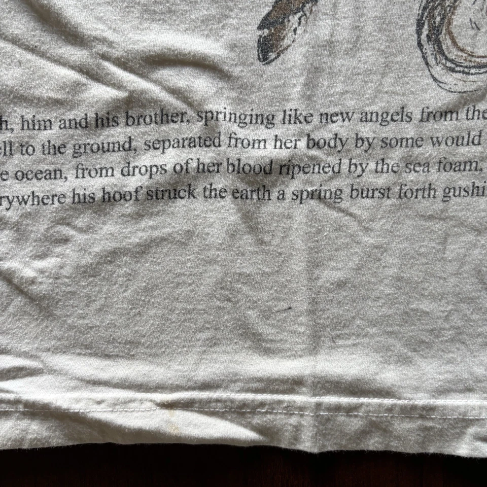 TOTALMENTE NUEVA Camiseta Jesse Lacey Kevin Devine Años 2000 Y2K De Colección Tu Gráfica PEGASUS Foto 3 de 4