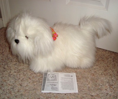 gogo walking dog