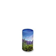 Biodegradable Small Saguaro Trail Scattering Tube Cremation Urn 20 Cubic Inches