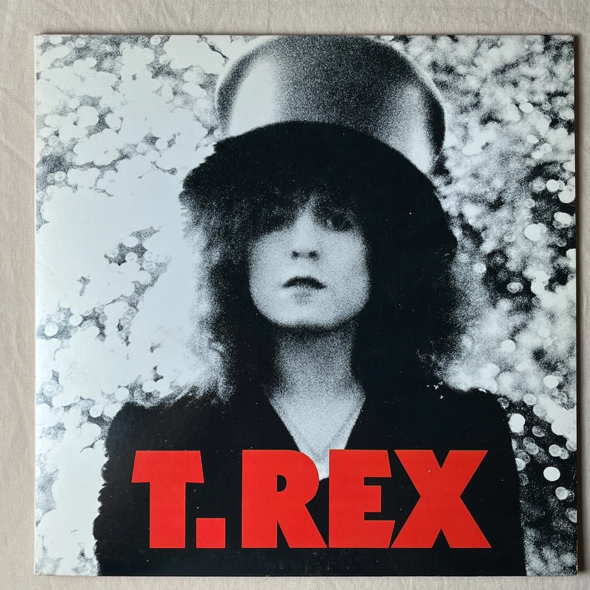 T. Rex Very Good Plus (VG +) Sleeve LP Vinyl Records for sale | eBay