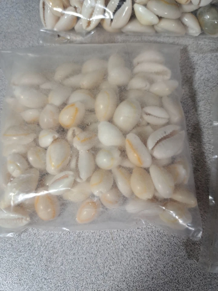 Jewelry Making or Crafting Sea Urchin & Cowry Shells & More Most New #4961L489 - Image 4 of 4