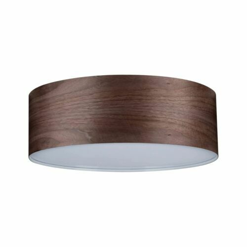 Lot De 10 Ampoules Paulmann 25W E14 - Tube Clair, Dimmable, Pour Ambiance Chaude - Idéal Salon, Salle à Manger