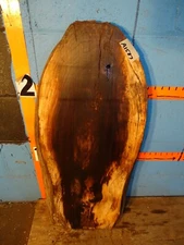 #A1587   1 5/8" THICK  black walnut Slab lumber shelf table rustic KILN DRIED