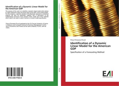 Identification of a Dynamic Linear Model for the American GDP | Piccoli | Buch