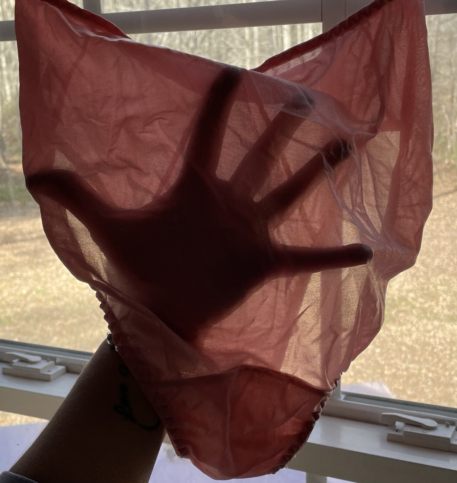 Kellwood Pink Silky Shiny Sheer High Waisted Nylon Panties Womens L NOS