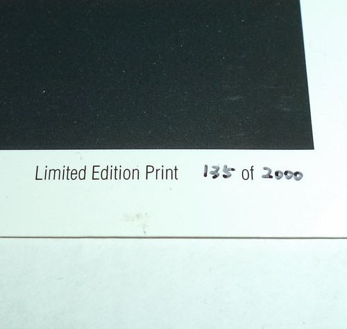 Seether Isolate and Medicate Limited Edition Print Autographed Signed by Band - Afbeelding 6 van 12
