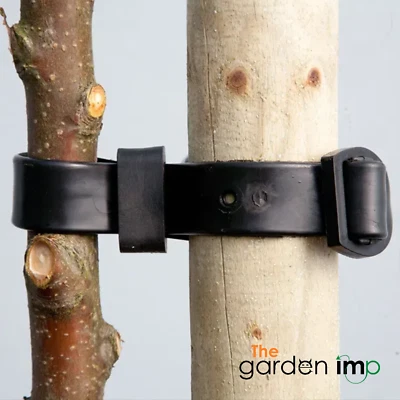 THE GARDEN IMP Buckle Tree Ties Rubber Strap Adjustable Strong Stake Post Plant Support Quality