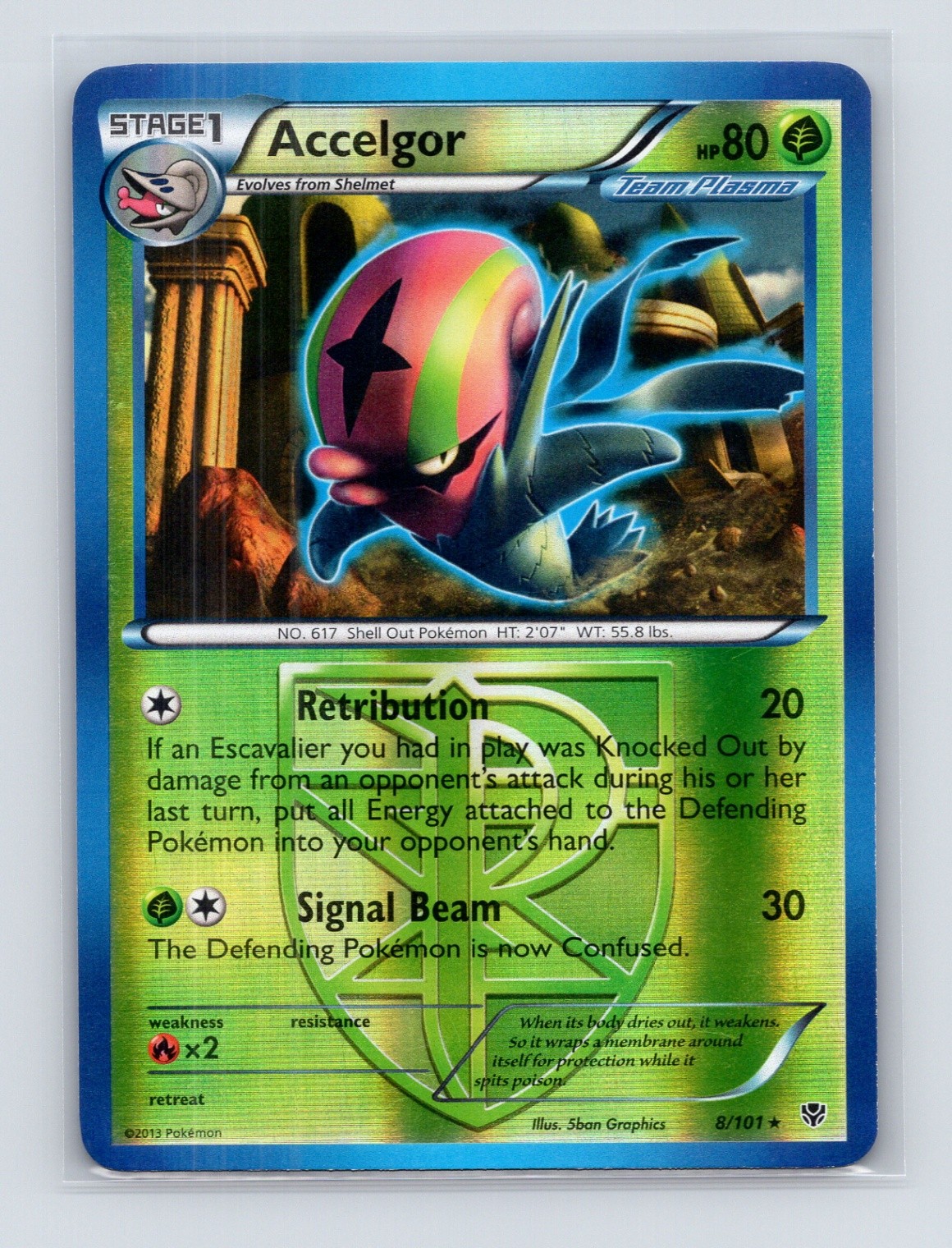 Pokémon TCG Accelgor (Team Plasma) 8/101 Plasma Blast Reverse Holo LP