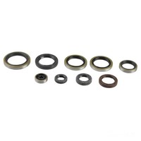 Dichsatz Motordichtringe Motor Dichtung FüR KTM EXC 300 2T Sixdays Bj. 2009-2013