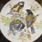 ALT Tirschenreuth WWF Kohlmeise 1986 Porcelain Plate Ltd Ed MPN 22-T40-1.5 — photo 1