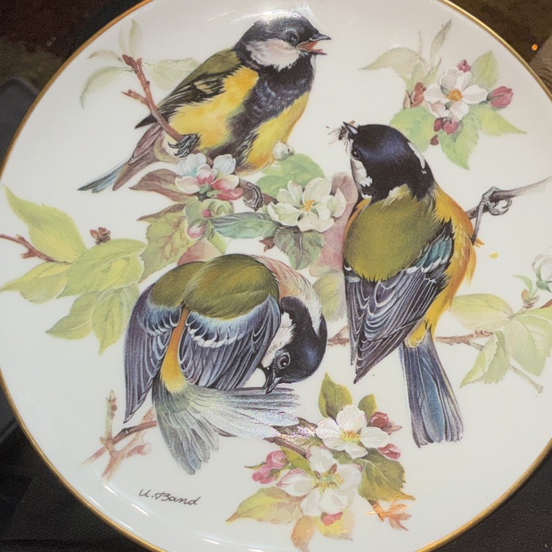 ALT Tirschenreuth WWF Kohlmeise 1986 Porcelain Plate Ltd Ed MPN 22-T40-1.5