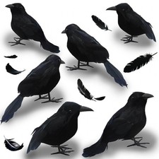 6 PCS Realistic Black Crow Plush Ravens Halloween Gothic Decoration Props