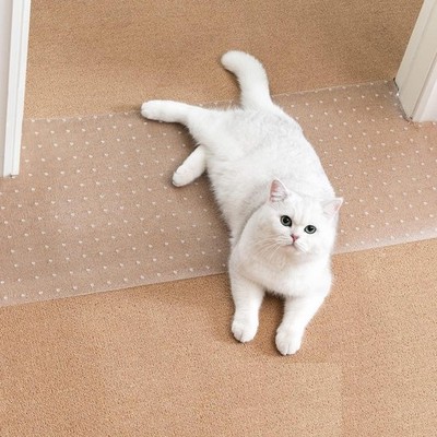 Carpet Protector for Pets - Cat Scratch Guard Mat, Anti Scratch Under Door Gu...