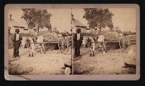 318)       BLACK AMERICANA, NOTE RIFLE ON HIS SHOULDER, GOING TO COTTON MARKET~