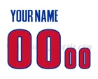 Detroit Pistons Customized Number Kit For 2005-2010 Home Uniform