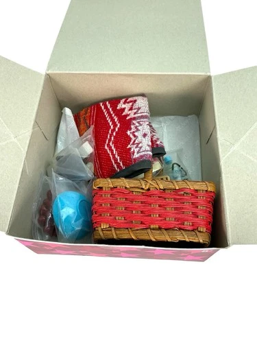 American Girl Doll Saige's Picnic Set Retired GOTY Saige With Box New