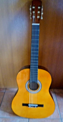 Gitarre Classic MSA in Tragehülle