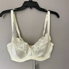 Julianna Rae Silk Blend Underwire Bra beige unlined Size 36DD Lace Detail