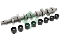 INA Nockenwellensatz 428 0042 30 FüR Ford Seat VW Skoda Audi