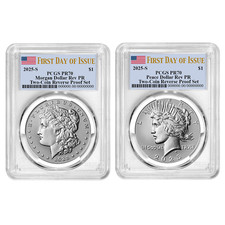 1995-P $1 Silver Eagle, DCAM (Proof) Silver Eagles - PCGS CoinFacts