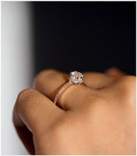New Kataoka Japanese Apricot Ring Supreme for...