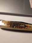 Case 00164 Peach Seed Jig Amber Bone Trapper Pocket Knife — photo 3