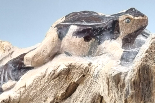 Madera fosilizada con ranas piedra de madera escultura rana relieve raro (113) - Imagen 1 de 11