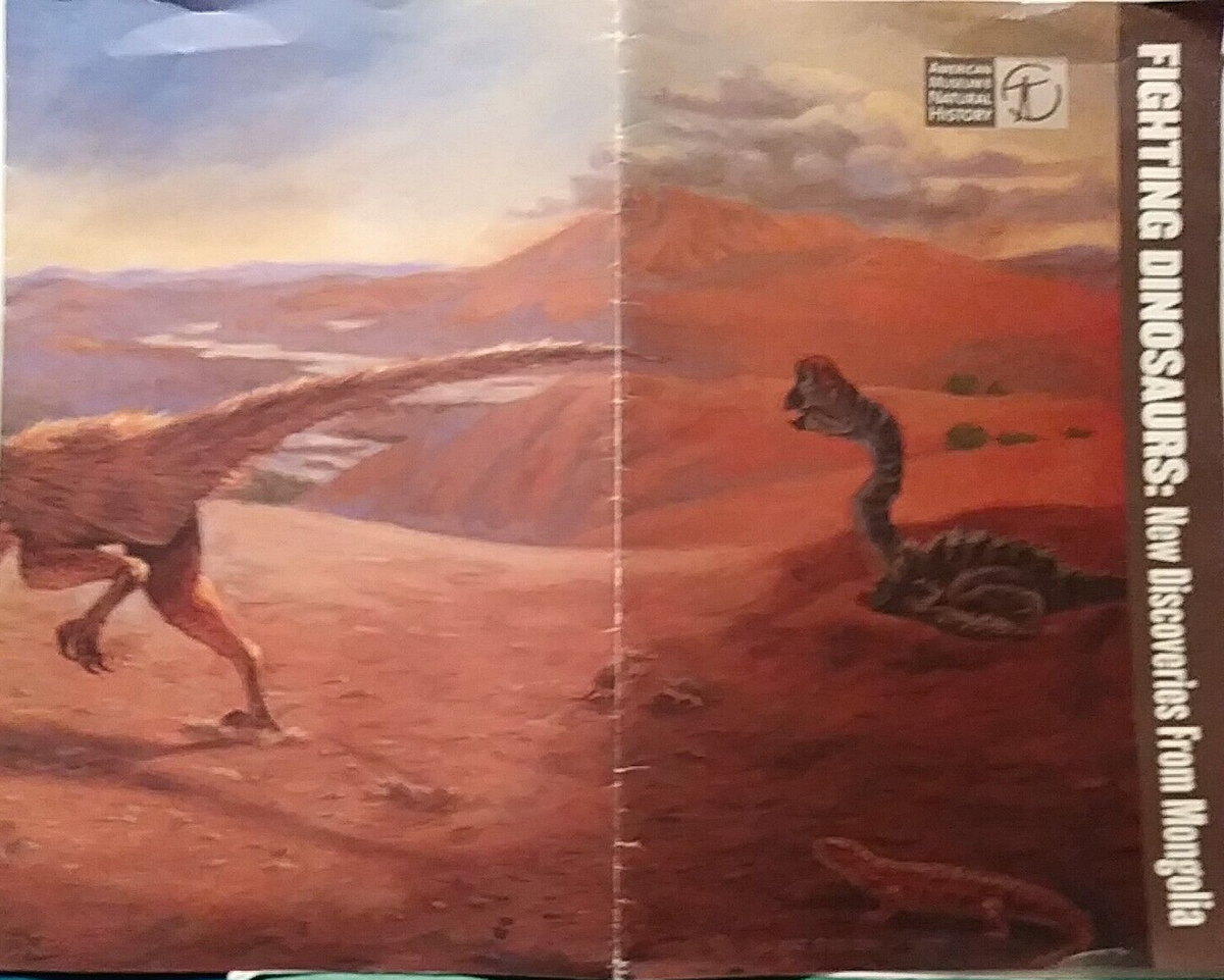 FIGHTING DINOSAURS AMERICAN MUSEUM NATURAL HISTORY FOSSIL TIMES