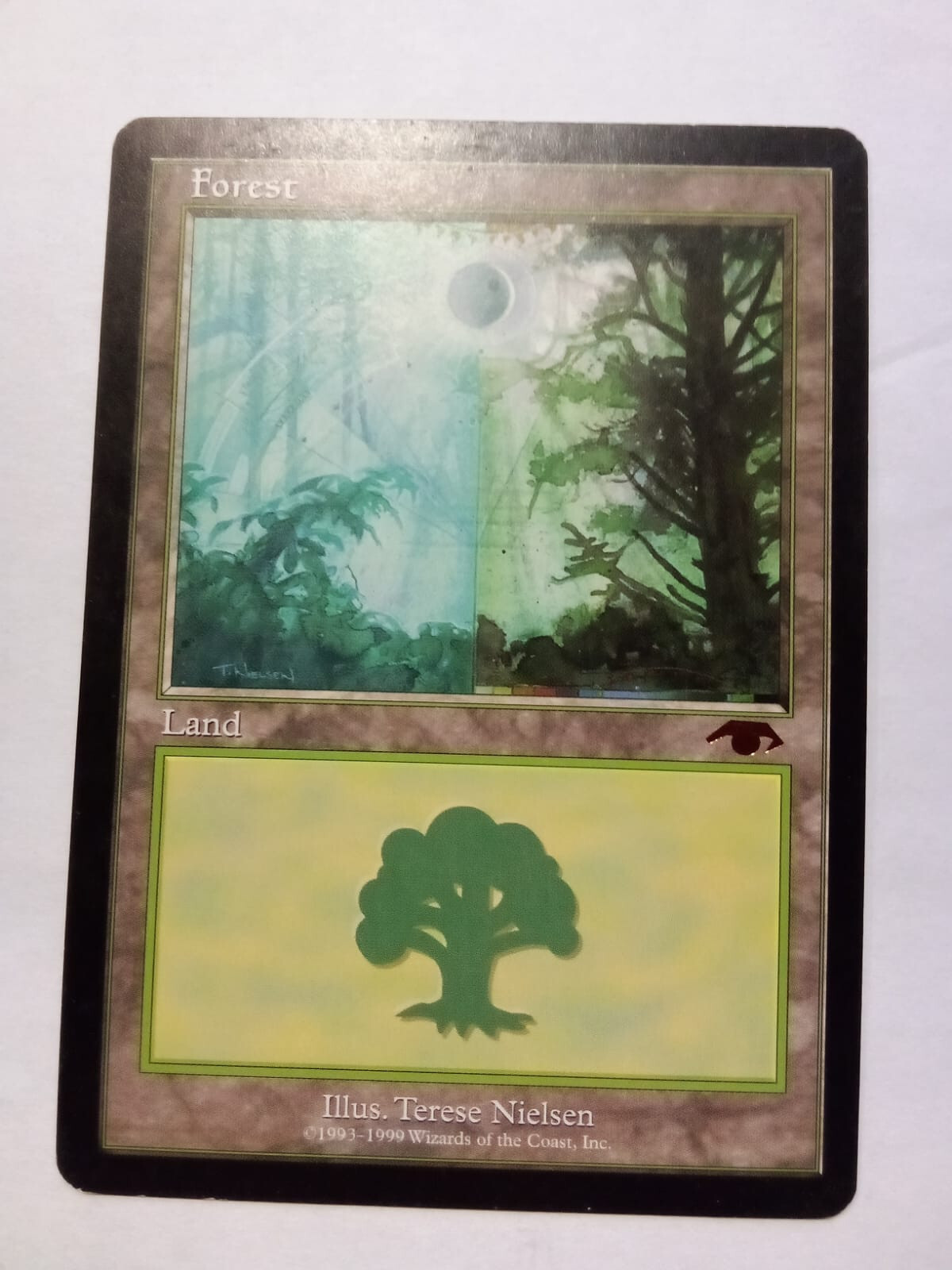 forest guru land mtg EX