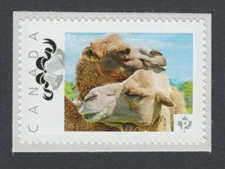 CAMELS Picture Postage stamp MNH Canada 2014 [p8fa5/3]
