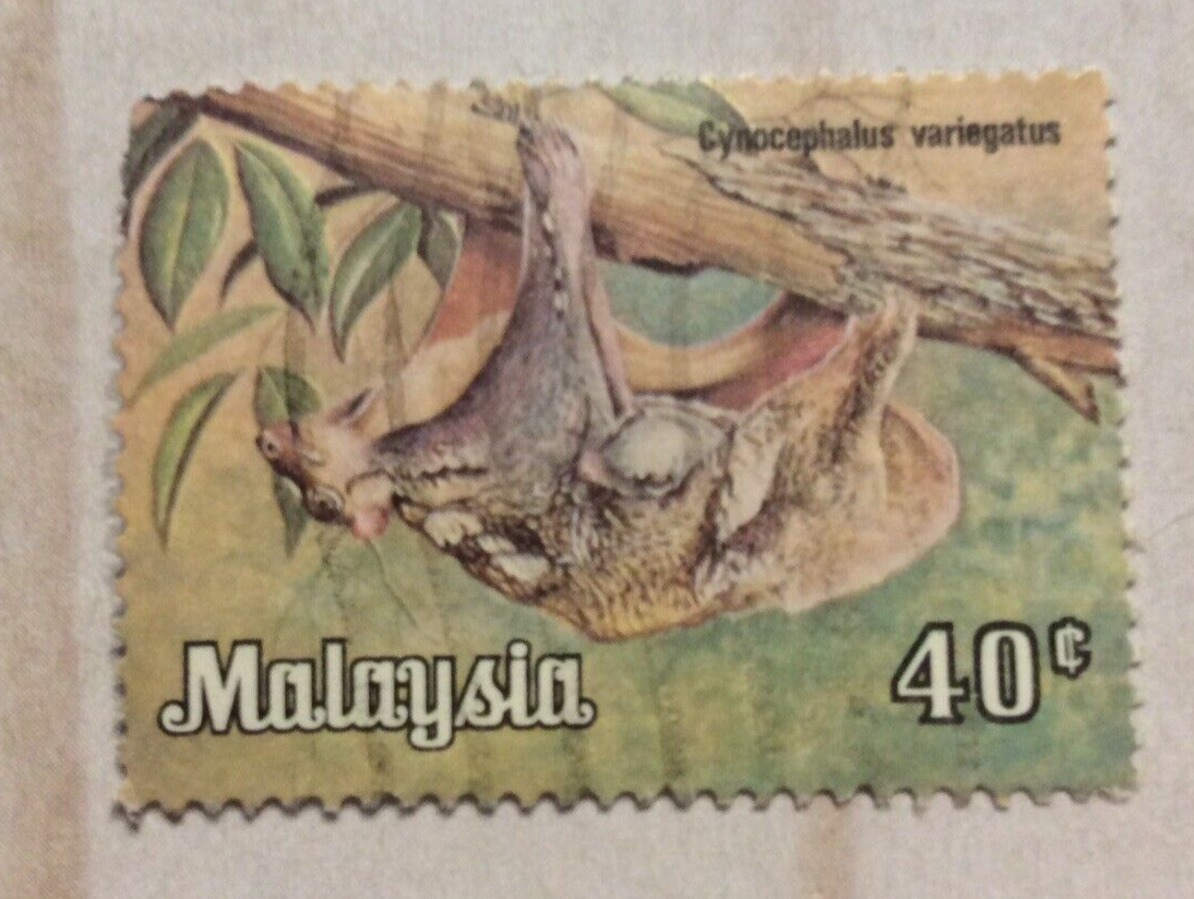 Malaysia Stamp Malayan Flying Lemur (Cynocephalus Variegatus) 40 Cent