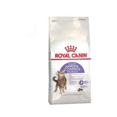 funny weenie dog pictures