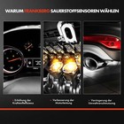 Afbeelding 7 van 8