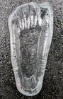 Blenko Glass BIG FOOT Print Textured Ashtray Clear MCM NM