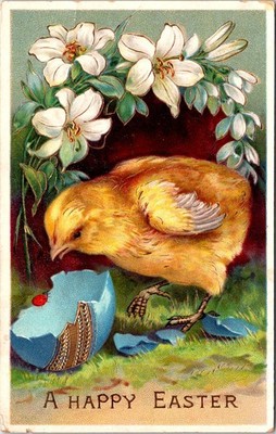 Easter Postcard Chick Hatched Blue Egg Lady Bug White Flowers New Haven IN 1912