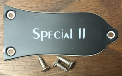 2008 Epiphone Les Paul Special II Electric Guitar Truss Rod Cover With Screws