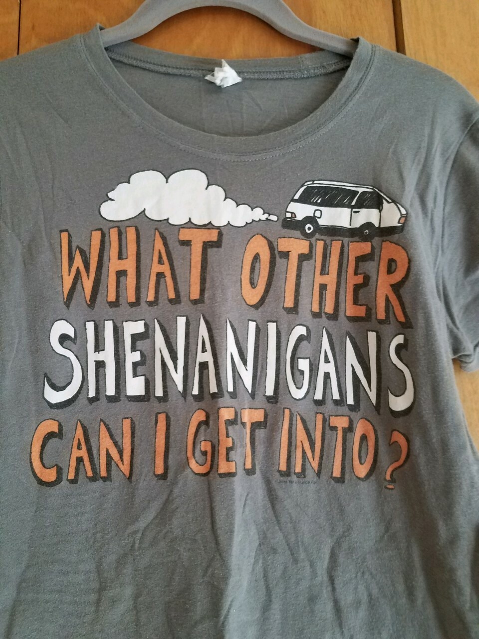 ALTRA T shirt maglietta grigia Bay Island "What Other Shananigans Can I Get Into" taglia Med